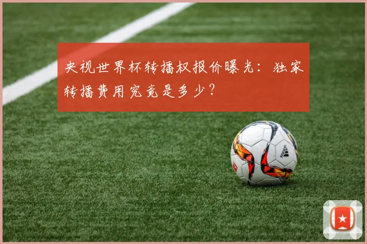 央视世界杯转播权报价曝光:独家转播费用究竟是多少?