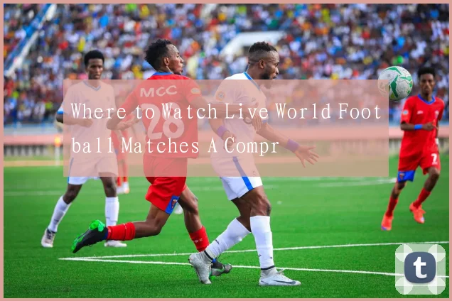 Where to Watch Live World Football Matches A Compr