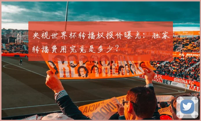 央视世界杯转播权报价曝光:独家转播费用究竟是多少?